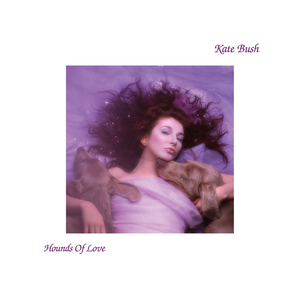 Hounds of Love by Kate Bush