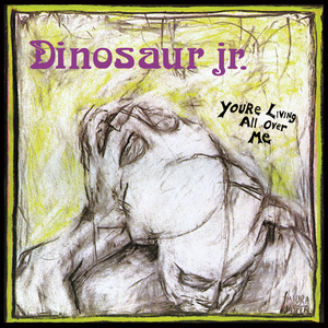 You're Living All Over Me by Dinosaur Jr.