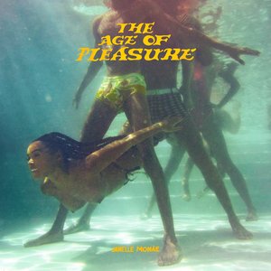 The Age of Pleasure by Janelle Monáe