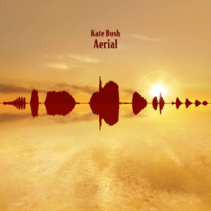 Aerial by Kate Bush