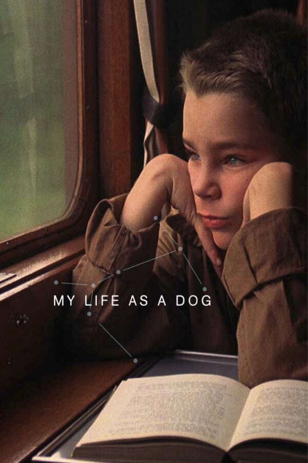 My Life as a Dog (1985)